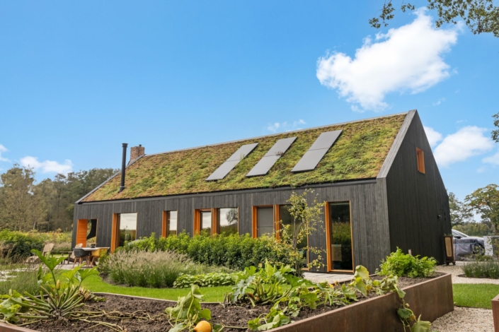 Modern eco-vriendelijk huis met groen grasdak en zonnepanelen, grote ramen, daarnaast door een tuin met diverse planten. Heldere blauwe lucht versterkt de duurzame uitstraling van Finnhouse.nl. - Finnhouse