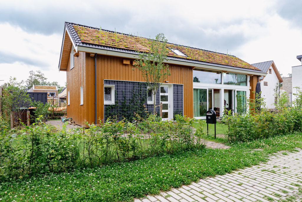 Een modern houten huis volgens ecologische bouwprincipes, groene dakbedekking, grote ramen, onzichtbare door natuur; kleine tuin met haag, brievenbus en bestraat pad onder bewolkte hemel. - Finnhouse